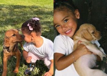 Bruna Biancardi resgata foto de Mavie com cachorro da família e compara evolução